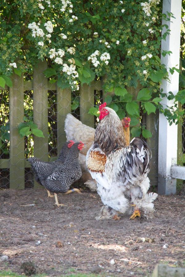 Granelund Bed & Country Living ξενώνας Veberöd Εξωτερικό φωτογραφία